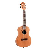 입문용 우쿨렐레 67cm, 테너