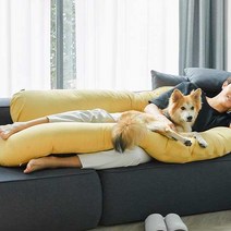 호무로 U자형 그래핀 점보 바디필로우, 옐로우