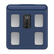 앳플리 아이그립X 핸드바 스마트 체중계, iGripX, 셀레스티얼 블루