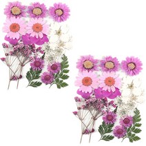 프레스코21 압화 종합팩, K119, 2개