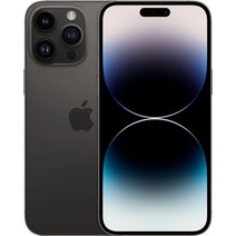 Apple 정품 아이폰 14 Pro Max 자급제, 스페이스블랙, 256GB