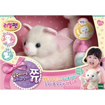 리얼펫 꾹꾹이 하는 아기고양이 쮸, 혼합색상