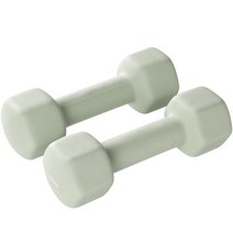 앳플리 LW 미용 아령 2p, 3kg