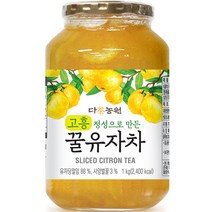 다농원 고흥 정성으로 만든 꿀유자차, 1개, 1kg