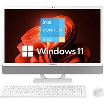 삼성전자 올인원 일체형PC 프로스트 화이트 DM530ADA-L25AH (펜티엄골드-7505 60.5cm WIN11 Pro RAM 8GB NVMe 256GB), 기본형