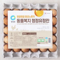 대상 청정원 동물복지 인증 청정유정란 30구, 1560g, 1개