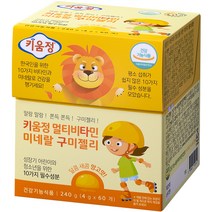 키움정 멀티 비타민 미네랄 구미 젤리 60p, 240g, 1개