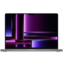 Apple 2023 맥북 프로 14, 스페이스그레이, M2 Pro 10코어, 16코어, 512GB, 16GB, Z17G0005G, 영문
