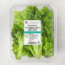 팜에이트 무농약 인증 프릴아이스 샐러드, 130g, 1개