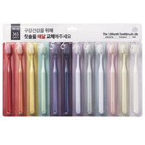 메디안 성인용 365DAYS 칫솔 12p 세트, 1세트