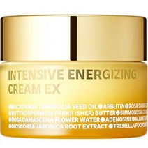 아이소이 인텐시브 에너자이징 코어탄력 크림 EX, 35ml, 1개