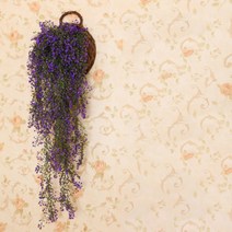 버드나무 에어플랜트 벽 장식 덩굴 식물 딥퍼플 황금종 L, 1개