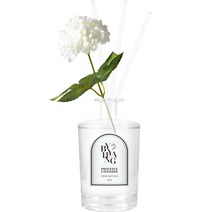 바이향 블루밍 홈 디퓨저 500ml + 조화스틱 + 리드스틱 4p 세트, 프로방스라벤더, 1세트