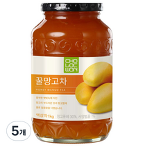 초록원 꿀 망고차, 1kg, 5개