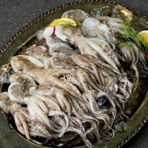 백미리 산지직송 서해안 자연산 햇 주꾸미, 1kg(8~15미), 1개