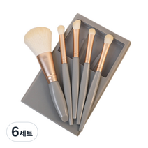 디에스 휴대용 멀티 브러쉬 5종 세트, 그레이, 6세트
