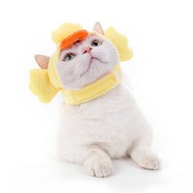 파스텔펫 동물 캐릭터 반려동물모자, 병아리