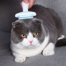 마이바우 멀티 강아지 고양이 브러쉬, 블루