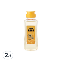 오색설악 사양벌꿀, 300g, 2개