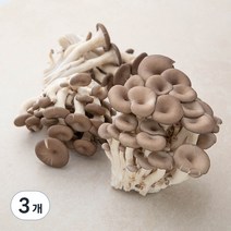 GAP 인증 국내산 맛타리버섯, 300g, 3개