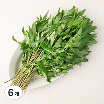 당귀잎, 100g, 6개