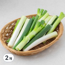 GAP인증 절단대파, 500g, 2개