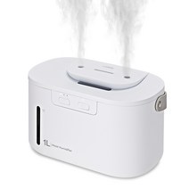 루오딘 모이스트 무선가습기 1L, ML-00201