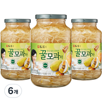 담터 꿀모과차, 1kg, 1개입, 6개