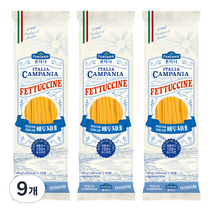 폰타나 캄파니아 페투치네면, 500g, 9개