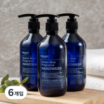 탐사 핸드워시 오션블루향, 300ml, 6개입