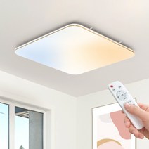 플랜룩스 티르 골드 리모컨 LED 방등 75W