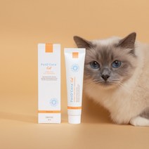 브리지테일 페토세라 고양이 피부 크림, 40ml, 1개
