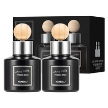 쿤달 퍼퓸 차량용 디퓨저 아로마 에디션 75ml 2개 + 우드볼스틱 2개, 편백향, 1세트