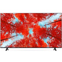 LG전자 4K 울트라 HD LED TV, 방문설치, 65UQ931C0NA, 벽걸이형, 163cm(65인치)