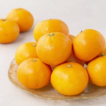 곰곰 당도선별 서귀포 감귤, 1.5kg, 1팩