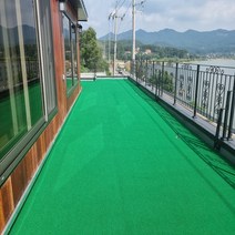 베스트그린 굳센글로벌 무독성 인조롤잔디 N1000 100cm x 200cm, 인조잔디, 1개