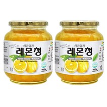 견과공장 겨울향기 프리미엄 레몬청, 950g, 2개