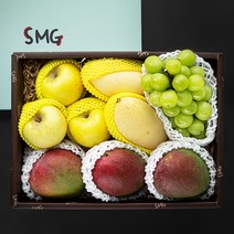 좋은하루 산지직송 특별한 과일 선물세트 A 애플망고   노란망고   샤인머스캣   황금사과, 3.45kg, 1세트