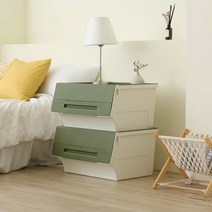 리빙앤트리 펠리컨 박스 대, 그린, 2개