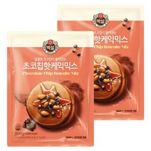 백설 초코칩 핫케익믹스, 500g, 2개
