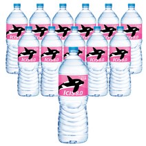 아이시스 8.0, 2L, 12개