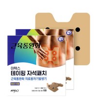아텍스 테이핑 근육통완화 자석패치 허리 H형 1100가우스, 2개, 8개입