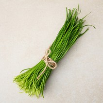 곰곰 국내산 영양부추, 100g, 1봉