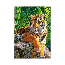 포원밀리언 취미 구슬 비즈 보석십자수 DIY 키트 호랑이, 혼합색상, 1개