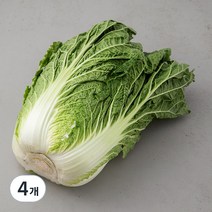 곰곰 국내산 배추, 1통, 4개
