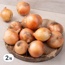 국내산 유기농 양파, 3kg, 2개