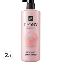 미쟝센 펄 샤이닝 리페어 트리트먼트 피오니향, 1000ml, 2개