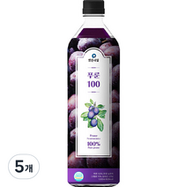 맑은내일 푸룬 100 과채주스, 1000ml, 5개