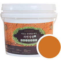 바른황토 바르는 천연황토벽지 자연정원 페인트 4L, 동황토, 1개