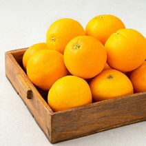 인기 많은 오렌지스페인산 추천순위 TOP100 상품